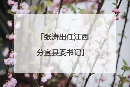 张涛出任江西分宜县委书记