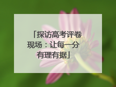 探访高考评卷现场：让每一分有理有据