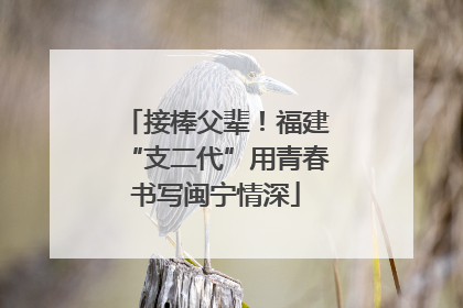 接棒父辈！福建“支二代”用青春书写闽宁情深