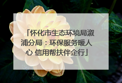 怀化市生态环境局溆浦分局：环保服务暖人心 信用帮扶伴企行