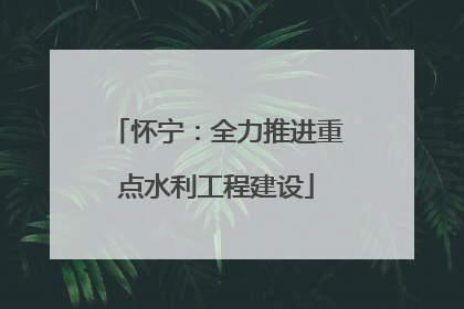 怀宁：全力推进重点水利工程建设