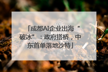 成都AI企业出海“破冰”：政府搭桥，中东首单落地沙特