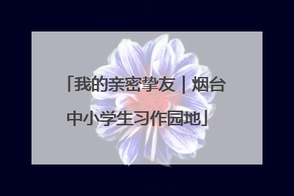 我的亲密挚友｜烟台中小学生习作园地