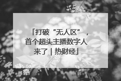 打破“无人区”，首个超头主播数字人来了｜热财经