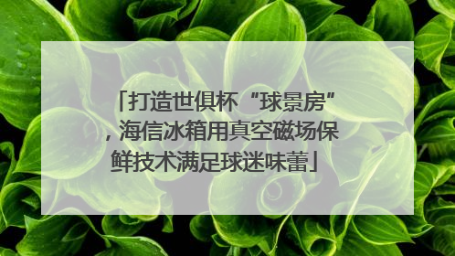 打造世俱杯“球景房”，海信冰箱用真空磁场保鲜技术满足球迷味蕾
