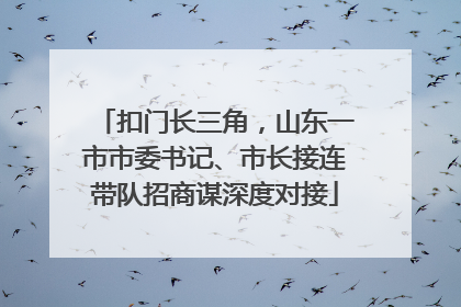 扣门长三角，山东一市市委书记、市长接连带队招商谋深度对接