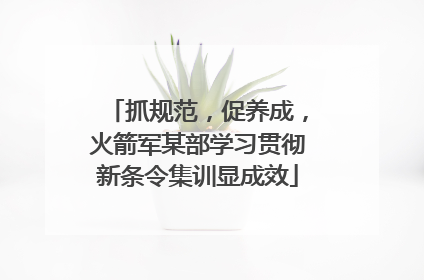 抓规范，促养成，火箭军某部学习贯彻新条令集训显成效