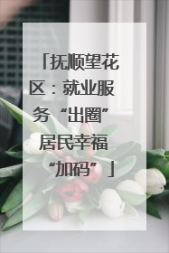 抚顺望花区：就业服务“出圈” 居民幸福“加码”