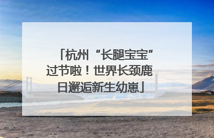 杭州“长腿宝宝”过节啦！世界长颈鹿日邂逅新生幼崽