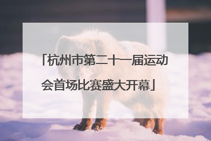 杭州市第二十一届运动会首场比赛盛大开幕