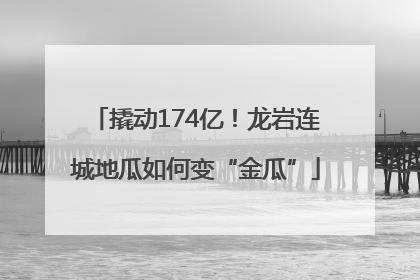 撬动174亿！龙岩连城地瓜如何变“金瓜”
