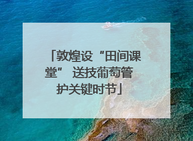 敦煌设“田间课堂” 送技葡萄管护关键时节