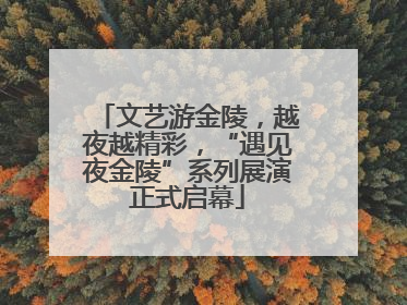 文艺游金陵，越夜越精彩，“遇见夜金陵”系列展演正式启幕