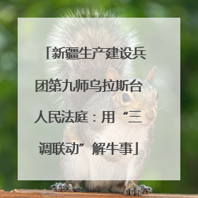 新疆生产建设兵团第九师乌拉斯台人民法庭：用“三调联动”解牛事