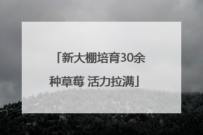 新大棚培育30余种草莓 活力拉满