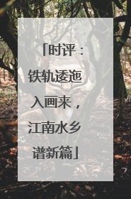 时评：铁轨逶迤入画来，江南水乡谱新篇
