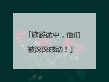 旅游途中，他们被深深感动！