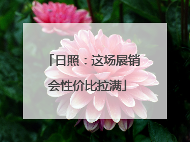 日照：这场展销会性价比拉满