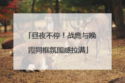 昼夜不停！战鹰与晚霞同框氛围感拉满
