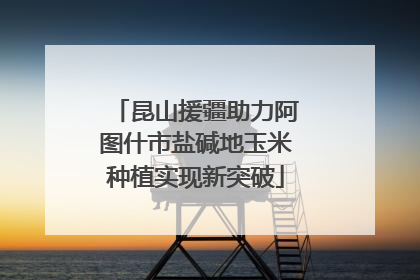 昆山援疆助力阿图什市盐碱地玉米种植实现新突破