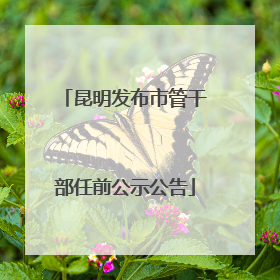 昆明发布市管干部任前公示公告