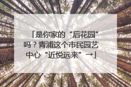 是你家的“后花园”吗？青浦这个市民园艺中心“近悦远来”→