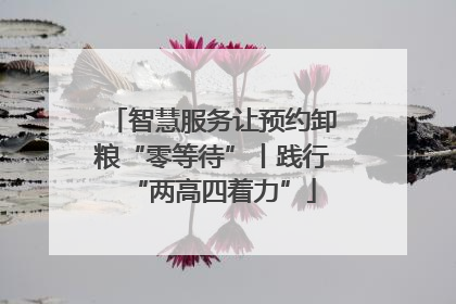 智慧服务让预约卸粮“零等待”丨践行“两高四着力”