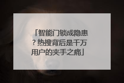 智能门锁成隐患？热搜背后是千万用户的夹手之痛