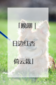 晚潮｜日边红杏倚云栽