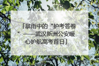 暴雨中的“护考答卷”——武汉新洲公安暖心护航高考首日