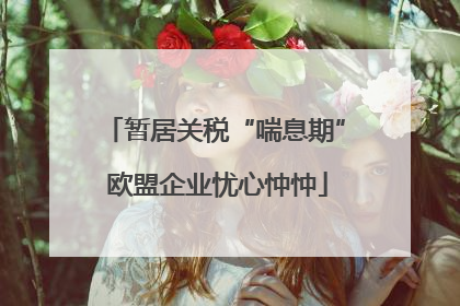 暂居关税“喘息期” 欧盟企业忧心忡忡