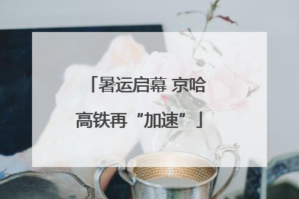 暑运启幕 京哈高铁再“加速”