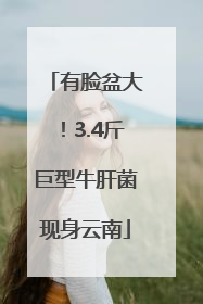 有脸盆大！3.4斤巨型牛肝菌现身云南