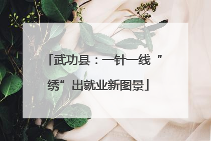 武功县：一针一线“绣”出就业新图景