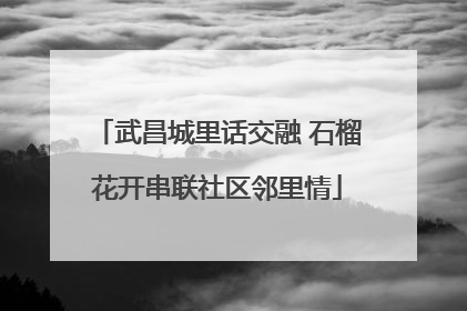 武昌城里话交融 石榴花开串联社区邻里情