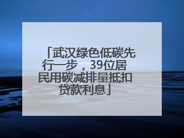 武汉绿色低碳先行一步，39位居民用碳减排量抵扣贷款利息