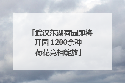武汉东湖荷园即将开园 1200余种荷花竞相绽放