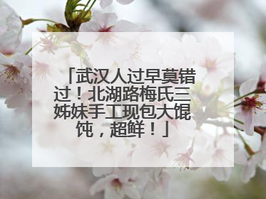 武汉人过早莫错过！北湖路梅氏三姊妹手工现包大馄饨，超鲜！