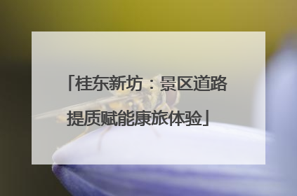 桂东新坊：景区道路提质赋能康旅体验
