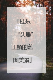 桂东：“头雁”王镇的蓝图美景