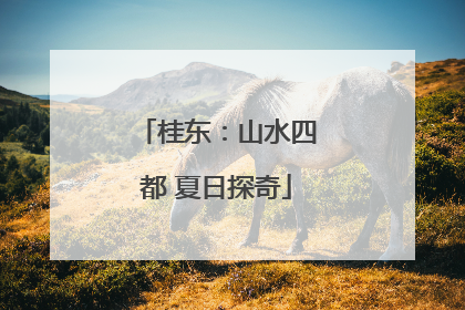 桂东：山水四都 夏日探奇