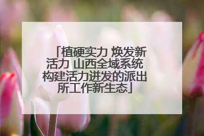 植硬实力 焕发新活力 山西全域系统构建活力迸发的派出所工作新生态