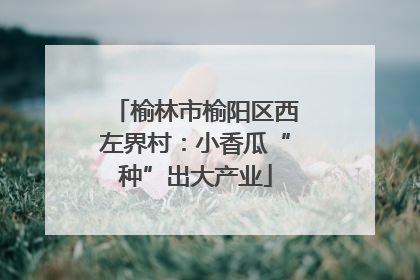 榆林市榆阳区西左界村：小香瓜“种”出大产业