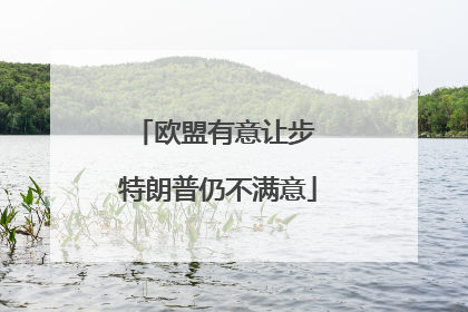 欧盟有意让步 特朗普仍不满意