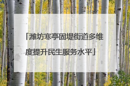 潍坊寒亭固堤街道多维度提升民生服务水平