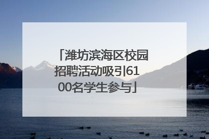 潍坊滨海区校园招聘活动吸引6100名学生参与