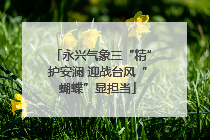 永兴气象三“精”护安澜 迎战台风“蝴蝶”显担当
