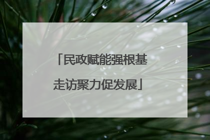 民政赋能强根基 走访聚力促发展