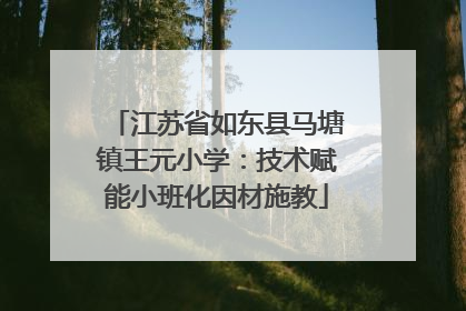江苏省如东县马塘镇王元小学：技术赋能小班化因材施教