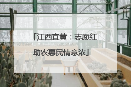 江西宜黄：志愿红助农惠民情意浓